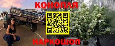 МДПВ Гагарин
