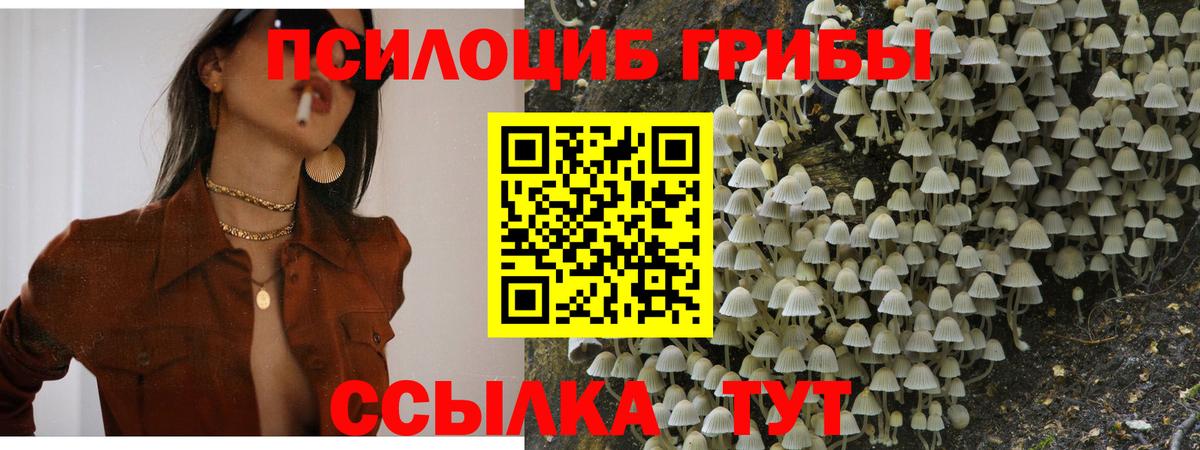 Истра  Псилоцибиновые грибы Magic Shrooms  где продают наркотики  Вход с VPN 